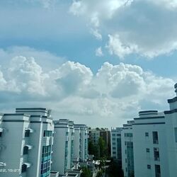 Ballota Park Condominium (D17), Condominium #447392541